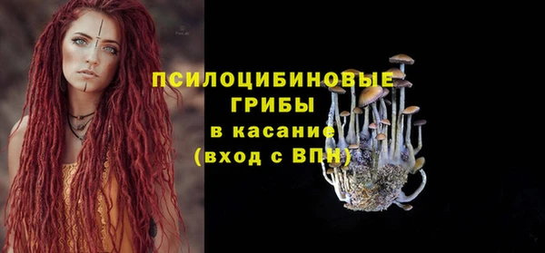спиды Новозыбков