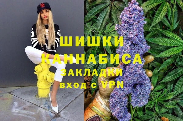 спиды Новозыбков