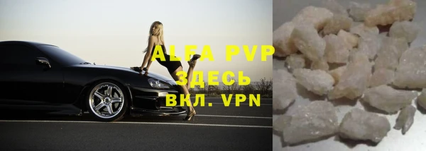 спиды Новозыбков