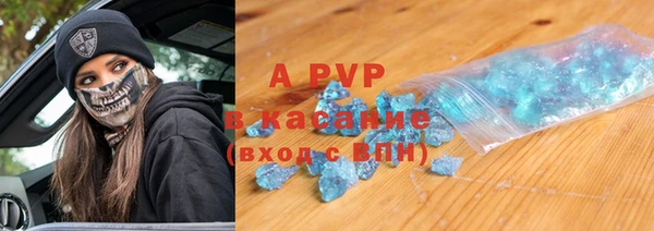 спиды Новозыбков